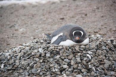 《死亡空间》之父表示可以制作异形游戏 但要完全主导权