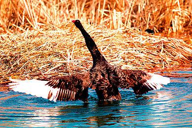 《StarCrawlers Chimera》登陆Steam 3D探索RPG